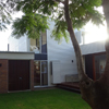Back Garden